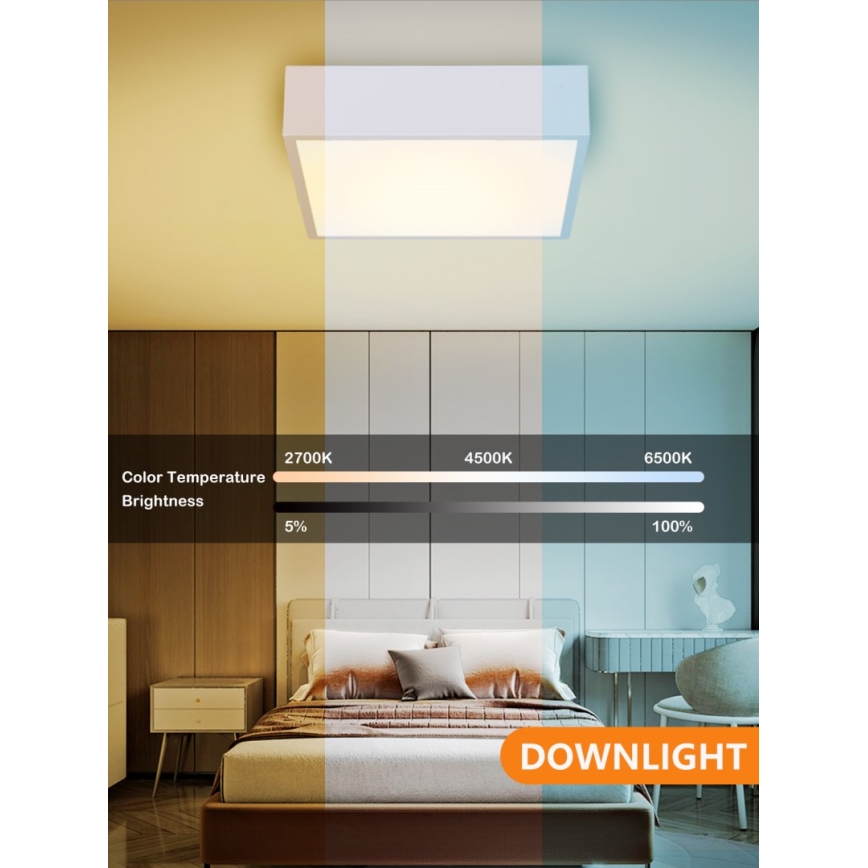 Immax NEO 07238L - LED dimmelhető mennyezeti lámpa CANTO LED/22W/230V fehér Tuya + távirányító