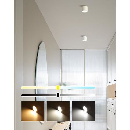 Immax NEO 07241L - Dimmelhető mennyezeti LED lámpatest RONDATE LED/18W/230V 11,5 cm Wi-Fi Tuya