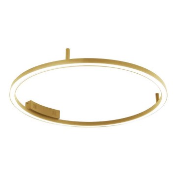 Immax NEO 07291-80G - LED+CCT Dimmelhető mennyezeti lámpa FINO LED/55W/230V 2700-6500K Tuya átm. 80 cm + távirányító