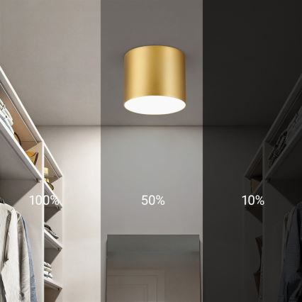Immax NEO 07317L - RONDATE fényerőszabályozható LED mennyezeti lámpa LED/18W/230V, átm. 11,5 cm, Wi-Fi Tuya, arany