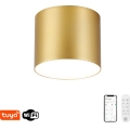 Immax NEO 07317L - LED Fényerőszabályozható mennyezeti lámpatest RONDATE LED/18W/230V átm. 11,5cm Wi-Fi Tuya arany