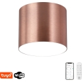 Immax NEO 07320L - LED dimmelhető mennyezeti lámpatest RONDATE LED/32W/230V átm. 16,5 cm Wi-Fi Tuya rózsaarany