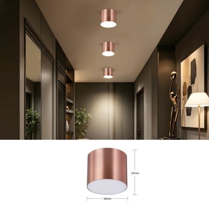Immax NEO 07320L - RONDATE LED dimmelhető mennyezeti lámpa LED/32W/230V, átm. 16,5 cm, Wi‑Fi Tuya, rózsaarany