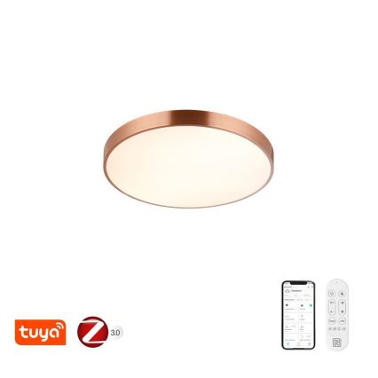 Immax NEO 07321L - LED dimmelhető mennyezeti lámpa NEO LITE SEMPLICI LED/36W/230V átm. 40 cm Tuya rózsa arany + távirányító