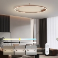 Immax NEO 07325-120C - FINO LED dimmelhető mennyezeti lámpatest, 72 W, 230 V, 120 cm, Tuya-kompatibilis, rózsaarany, távirányítóval