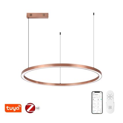 Immax NEO 07327L - LED-dimmelhető, kábellel függesztett FINO csillár LED/55W/230V 80 cm Tuya rózsaarany + távirányító