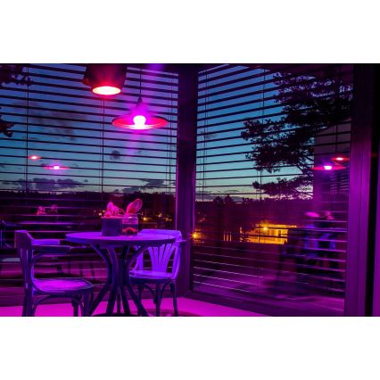 Immax NEO 07745CDO - 3 darabos készlet LED RGB+CCT dimmelhető izzó E14/6W/230V Tuya Wi‑Fi + távirányító