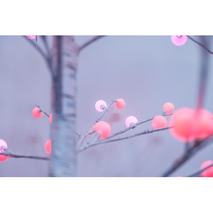 Immax NEO 07750L - LED RGB+CW dimmelhető kültéri karácsonyi dekoráció NEO LITE LED/7,2W/230V 1,8m IP44 Wi-Fi Tuya fa