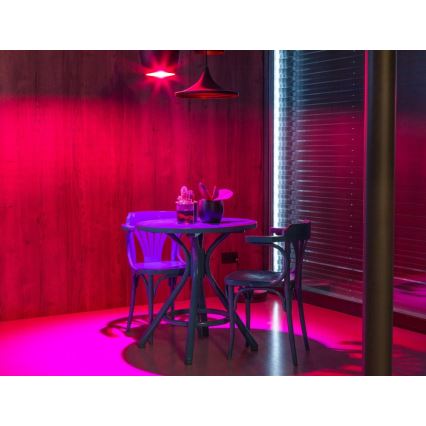 Immax NEO - LED RGB Dimmelhető izzó E27/9W/230V 1800-6500K Tuya