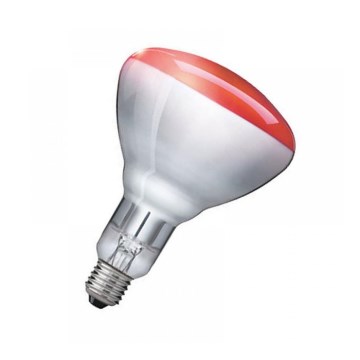 Infra izzó Philips E27/150W/230V