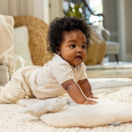 Ingenuity - Baba vibrációs hinta dallammal EVERY SEASON 3xC szürke