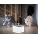 Intelligens itató háziállatoknak 3,5l 230V Wi-Fi