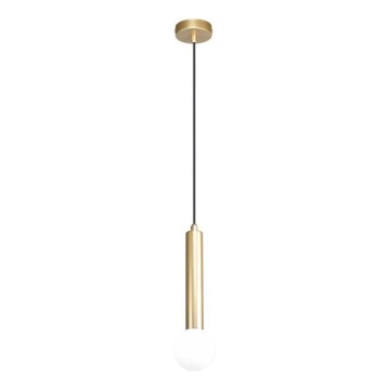 ITALUX - FILANO kábeles függeszték 1xG9/5W/230V arany
