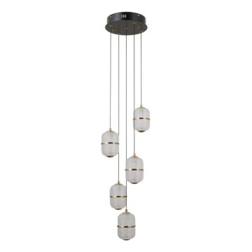 ITALUX - LED csillár kábelen ALANI 5xLED/5,6W/230V 3000K fekete/arany