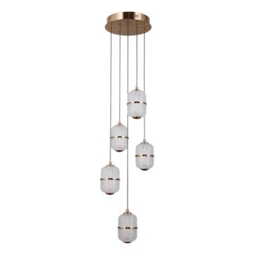 ITALUX - LED csillár zsinóron ALANI 5xLED/5,6W/230V 3000K arany