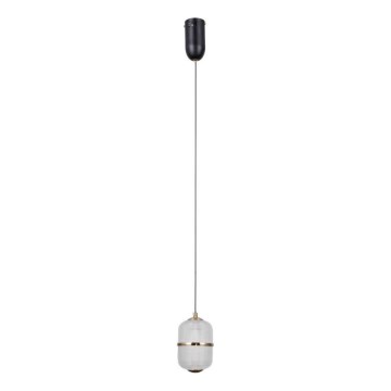 ITALUX - LED kábeles függeszték ALANI LED/6W/230V 3000K fekete/arany
