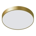 ITALUX - LED Mennyezeti lámpa ORBITAL LED/30W/230V 3000K arany