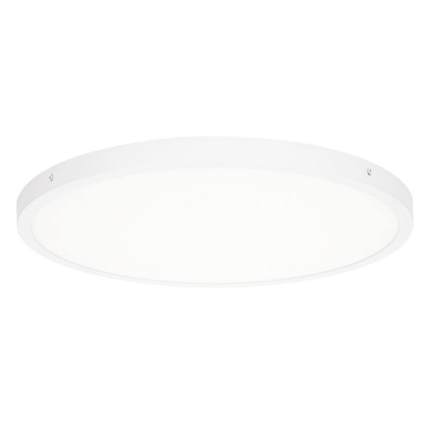 ITALUX - LED Mennyezeti lámpa PELARO LED/36W/230V 4000K átm. 50 cm fehér