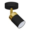 JOKER spotlámpa 1xGU10/25W/230V fekete/arany