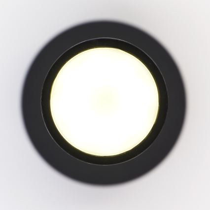 Jupiter 2003 - Csillár zsinóron ALAS 1xGU10/10W/230V fekete/arany