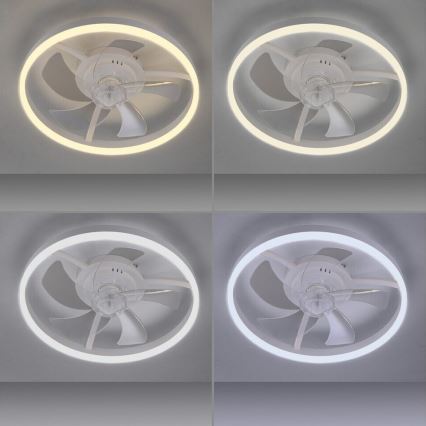 JUST LIGHT. 14624-16 - LED dimmelhető mennyezeti ventilátor világítással RITA LED/22W/230V 3000-6000K átm. 50 cm fehér + távirányító