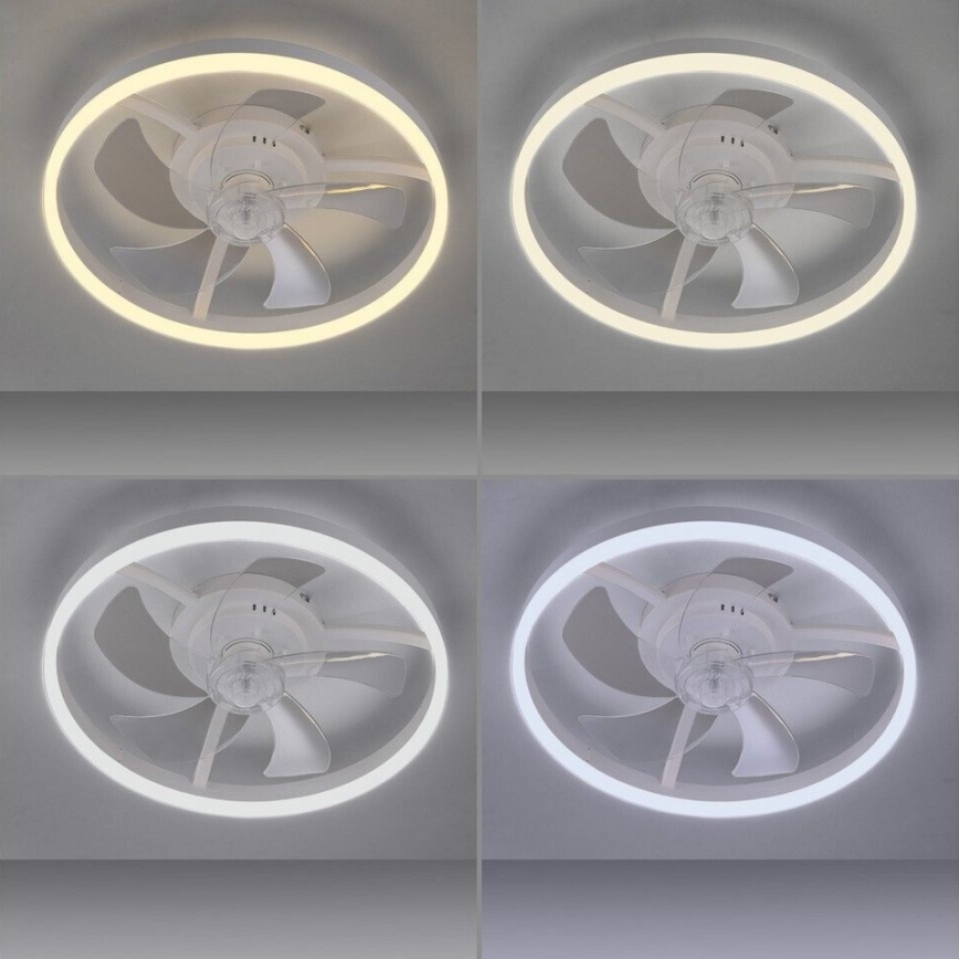 JUST LIGHT. 14624-16 - LED dimmelhető mennyezeti ventilátor világítással RITA LED/22W/230V 3000-6000K átm. 50 cm fehér + távirányító
