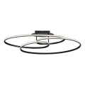 JUST LIGHT. 15321-18 - LED Mennyezeti lámpa LUMACA LED/33W/230V fekete