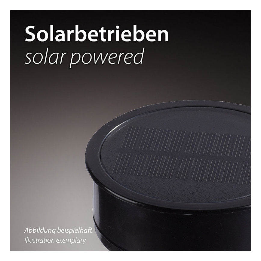 JUST LIGHT. 19106-18-3 - 3 db-os készlet LED napelemes lámpa FACKEL LED/0,24W/1,2V 200 mAh IP44 fekete