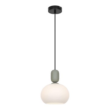 Kábeles függőlámpa VALISIA 1xE27/40W/230V fekete/olíva