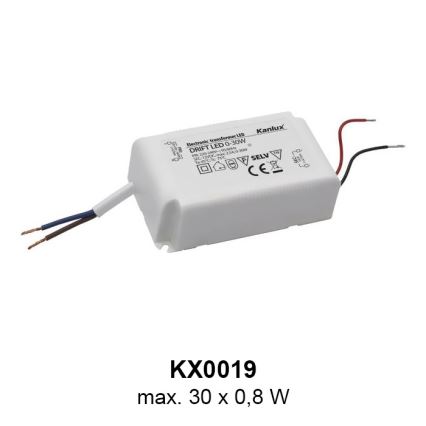 Kanlux 23100 - LED irányfény SOLA 1xLED/0,8W/12V