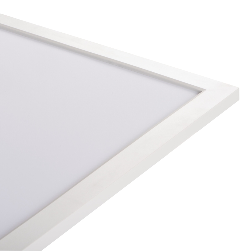 LED álmennyezeti panel BAREV ECO LED/36W/230V 4000K 60x60 cm
