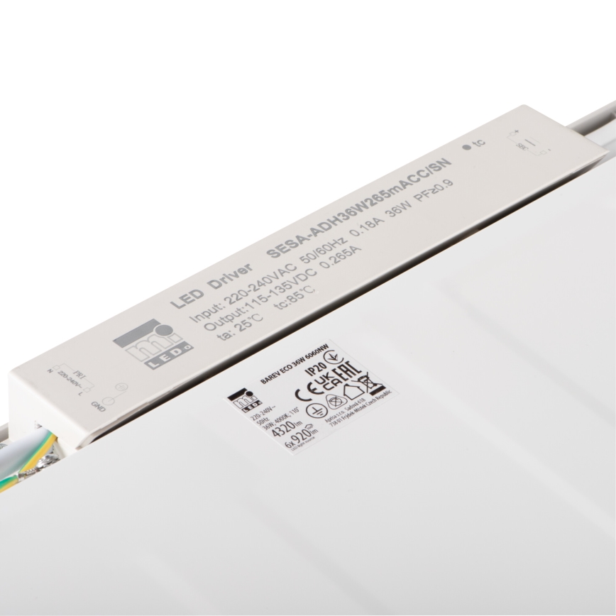 LED álmennyezeti panel BAREV ECO LED/36W/230V 4000K 60x60 cm