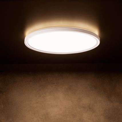 AZPO LED mennyezeti lámpatest 22 W, 230 V — 3000/4000/6000 K (választható színhőmérséklet), Ø 42 cm, IP54, fehér