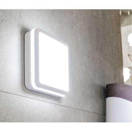 LED Kültéri lámpa érzékelővel BENO LED/24W/230V IP54 fehér