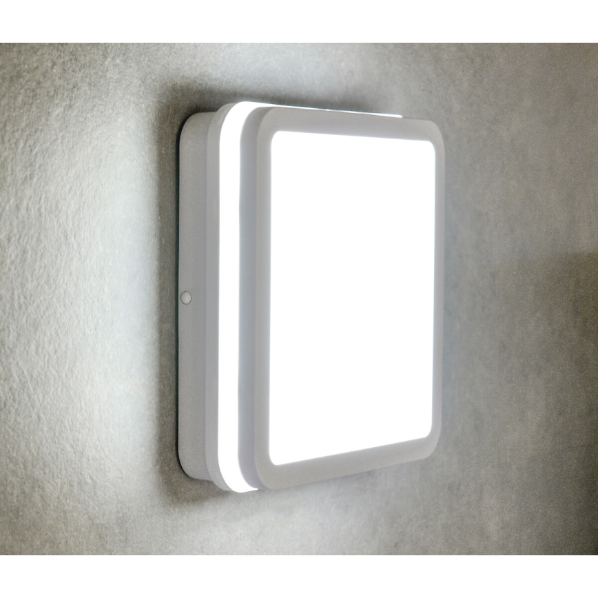 LED Mennyezeti Lámpa BENO LED/24W/230V 3000K Fehér IP54
