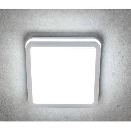 LED Mennyezeti Lámpa BENO LED/24W/230V 3000K Fehér IP54