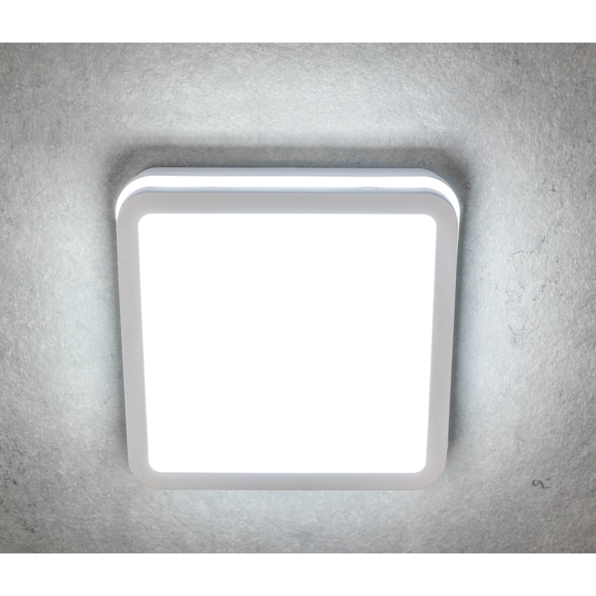 LED Mennyezeti Lámpa BENO LED/24W/230V 3000K Fehér IP54