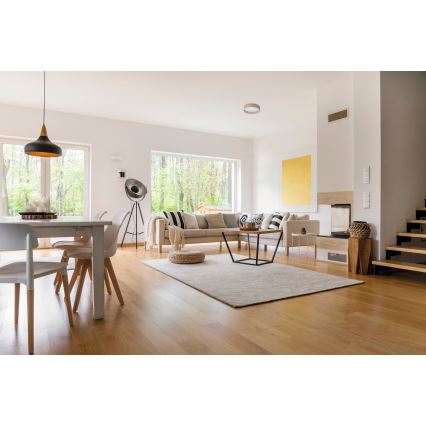 LED Mennyezeti lámpa RIFA LED/17,5W/230V 3000K barna