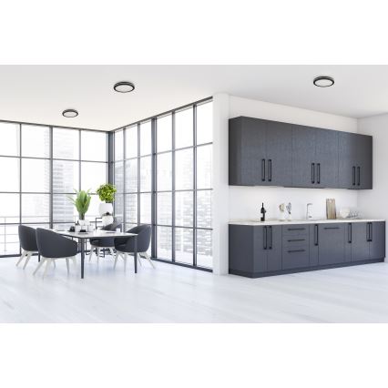 LED Kültéri mennyezeti lámpa BENO ECO LED/12W/230V 3000/4000/6500K átm. 20 cm IP65 fekete