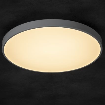 LED Dimmelhető mennyezeti lámpa PLAFON LED/20W/230V 3000-6500K Wi-Fi fehér