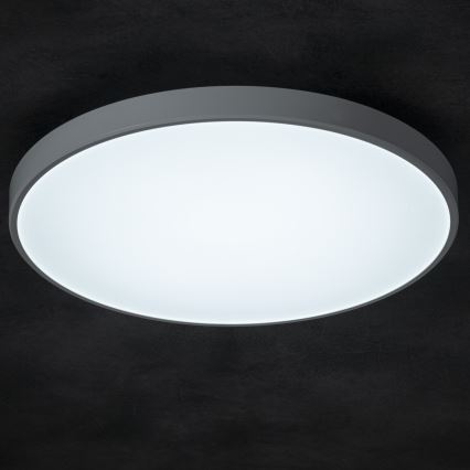 LED Dimmelhető mennyezeti lámpa PLAFON LED/20W/230V 3000-6500K Wi-Fi fehér