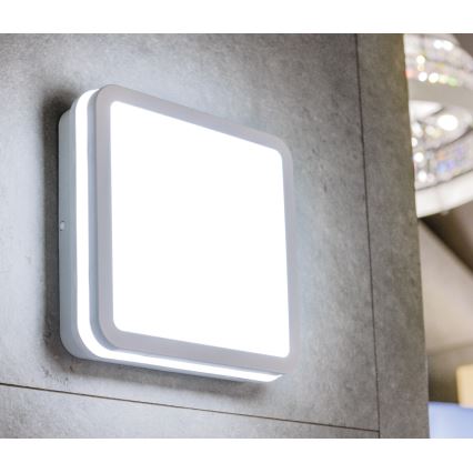 LED Kültéri mennyezeti lámpa BENO LED/24/30W/230V 3000/3500/4000K IP65 fehér szögletes