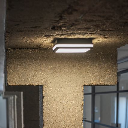 LED Kültéri mennyezeti lámpa BENO LED/12/18W/230V 3000/3500/4000K IP65 antracit szögletes