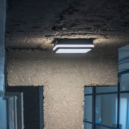 LED Kültéri mennyezeti lámpa BENO LED/12/18W/230V 3000/3500/4000K IP65 antracit szögletes