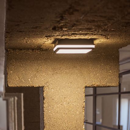 LED Kültéri mennyezeti lámpa BENO LED/12/18W/230V 3000/3500/4000K IP65 antracit szögletes