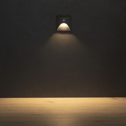 LED lépcsővilágító lámpatest mozgás- és alkonyérzékelővel EXIN LED/2,5W/230V 3000K IP65 antracit, szögletes