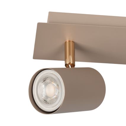 Spotlámpa EVALO 3xGU10/10W/230V bézs/arany