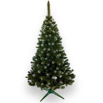 Karácsonyfa 220 cm ezüstfenyő