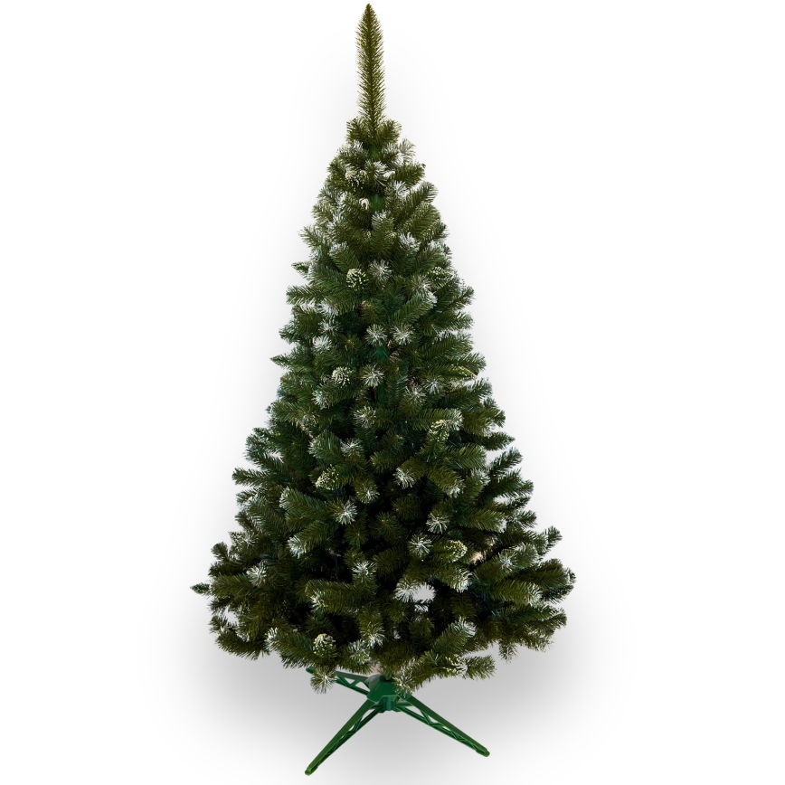 Karácsonyfa 220 cm ezüstfenyő