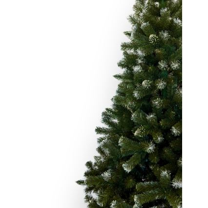 Karácsonyfa 220 cm ezüstfenyő